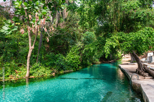Turquoise Wikki warm springs, Yankari National Park, eastern Nigeria, West Africa, Africa photo