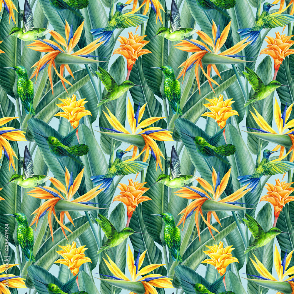 Hummingbirds and Strelitzia, tropical background, watercolor illustration, digital paper, seamless pattern