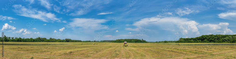 On the rye field, the tractor is harvesting in fresh grass hay.