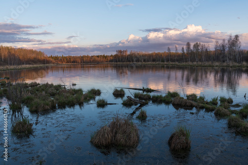 Sunset at a boreal lake in Elk Island National Park, Alberta, Canada photo