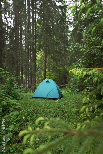 Campsite in the forest. Green camping tent in a small meadow in beautiful spruce forest with lush foliage around. Summer backpacking tourism