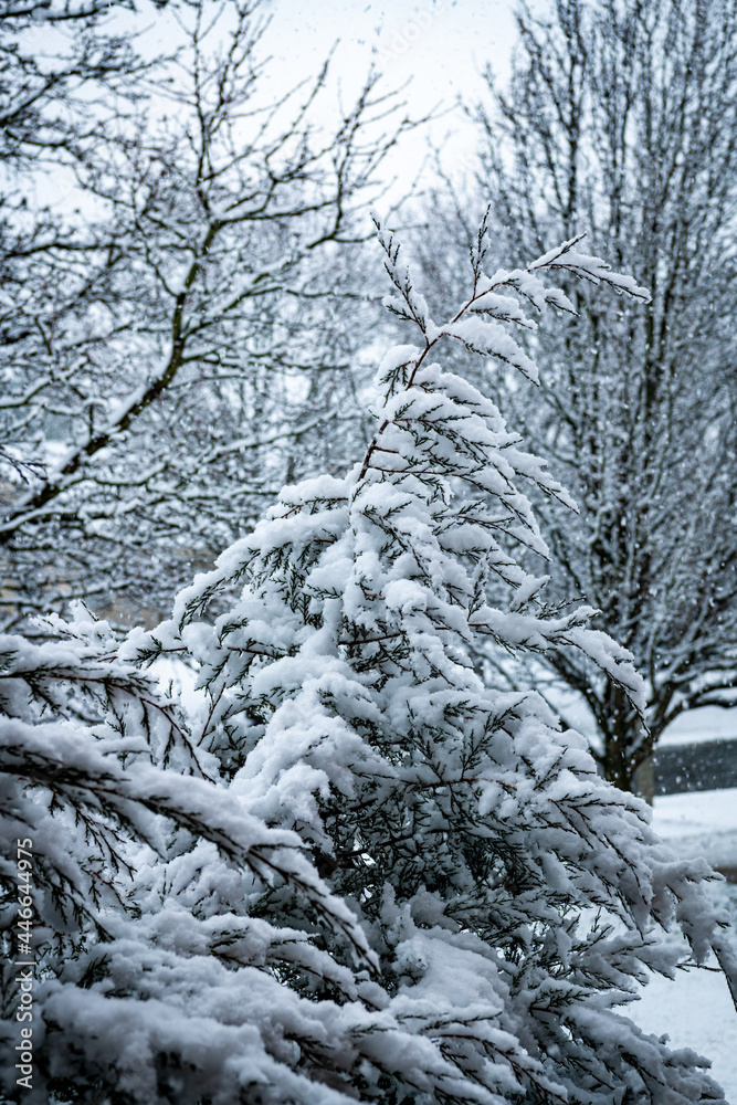 Christmas season in the Mid-West United States Christmas season in the Mid-West United States