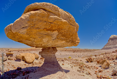 Balanced rock that resembles a toadstool, petrified wood scattered around the formation, Petrified Forest National Park, Arizona
