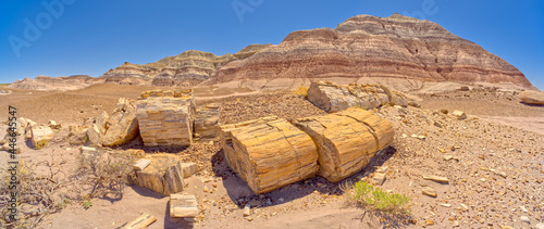 Large pieces of petrified wood on the west side of Red Basin in Petrified Forest National Park Arizona
