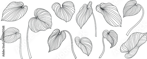 Tropical leaves isolated on white. Hand drawn vector illustration © ARTSTOK