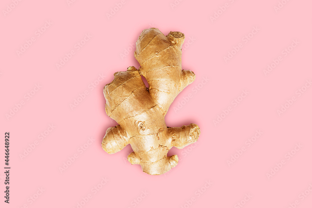 Fototapeta premium Fresh ginger isolated on pink background, herb medical concept - Clipping path