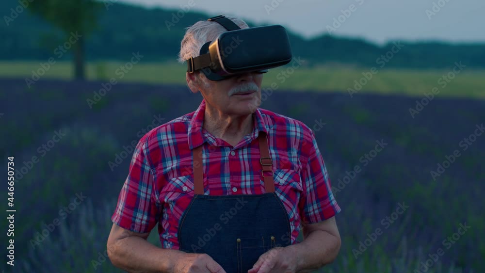 Progressive modern grandfather man farmer in field lavender flowers uses virtual reality technology. Simulating application user interface. Control irrigation system from drones. Modern agribusiness
