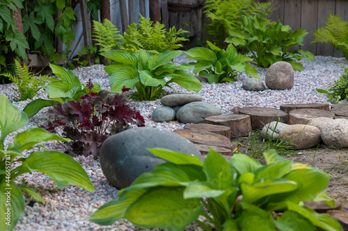 Rockery rock garden  with big and small stones through which flowers grow photo