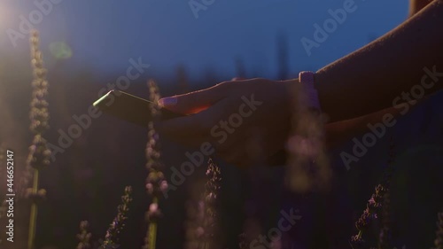 Close-up of young farmer woman agronomist hands, business owner touching digital tablet computer in lavender field at night. Ecoculture farm. Scientist working in garden with agriculture technology photo