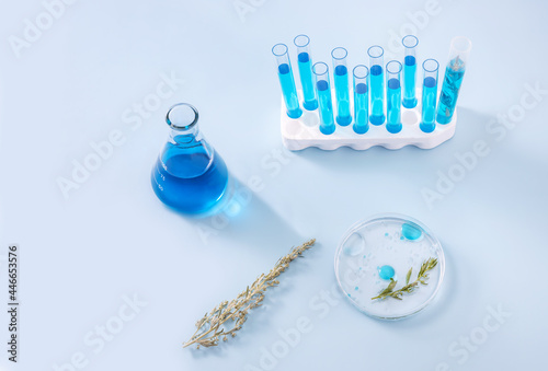 test tubes, a flask, a Petri dish, a sprig of wormwood (Artemisia) on a blue background. concept discovery of scientists in the field of combating coronavirus