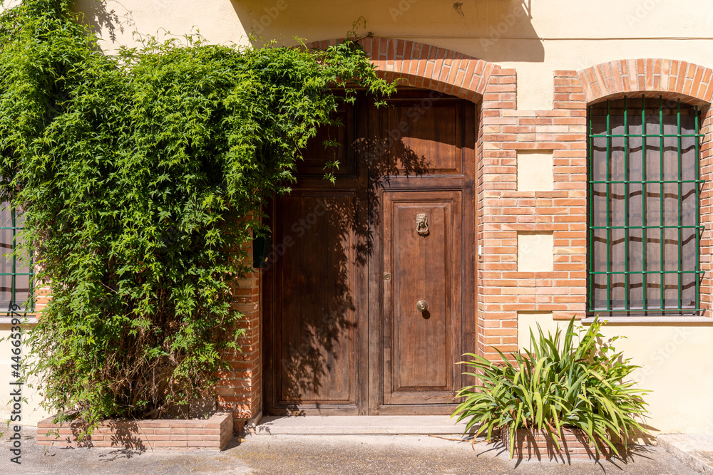 Wooden door at the entrance of a large house, adorned with plants. Wooden door at the entrance of a large house, adorned with plants.