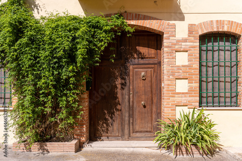 Wooden door at the entrance of a large house, adorned with plants.