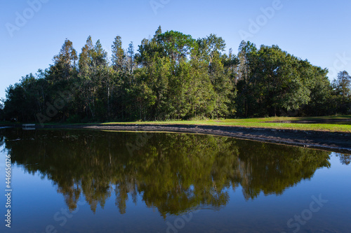 Reflection Of Trees In Lake