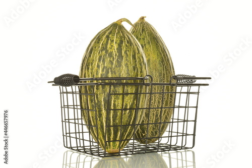 Two juicy ripe melons with a basket of metal wire, close-up, isolated on white.