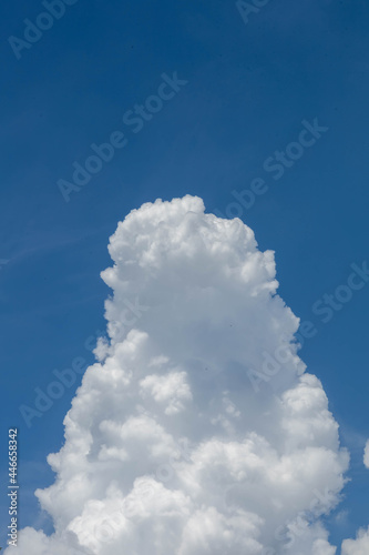 Massive cumulus cloud builds vertically before the storm.