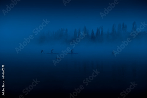 rowing on the river in the fog