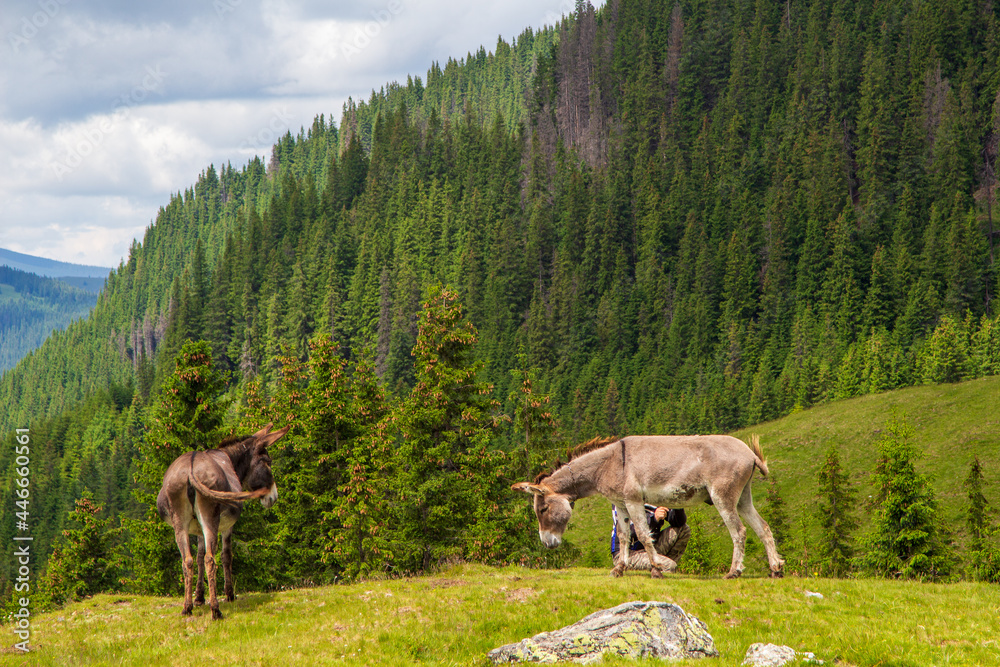 Landscape in Romania