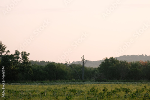 Haze over Texas landscape at sunrise with shallow depth of field on landscape during summer season.