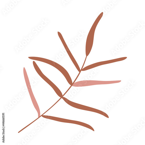 Isolated vector illustration of a branch for decoration