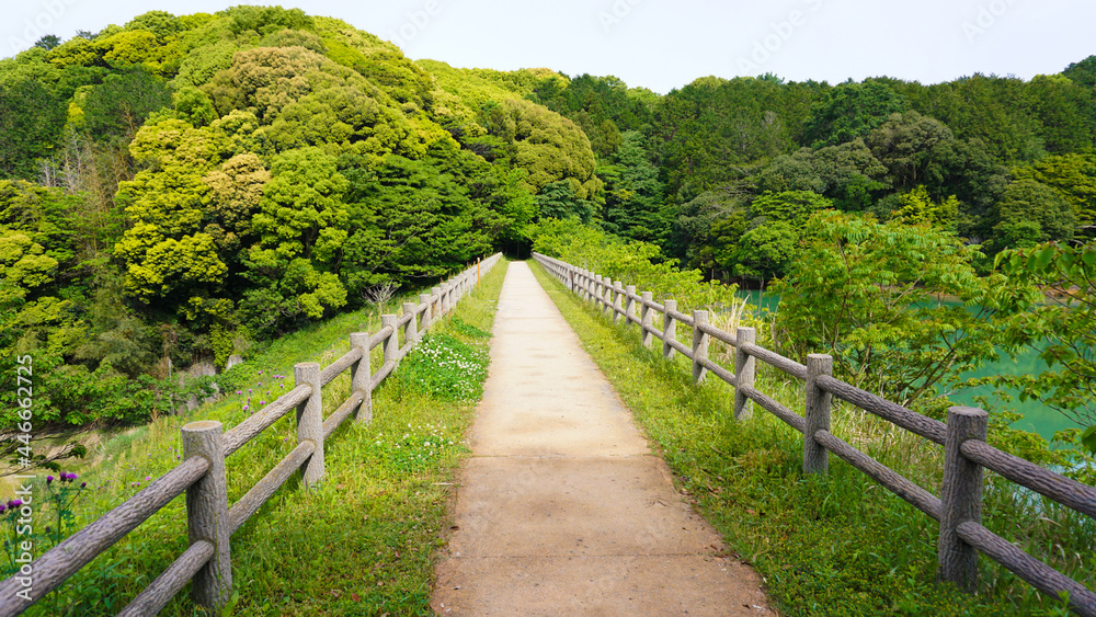 福岡県、宗像市のハイキングコース