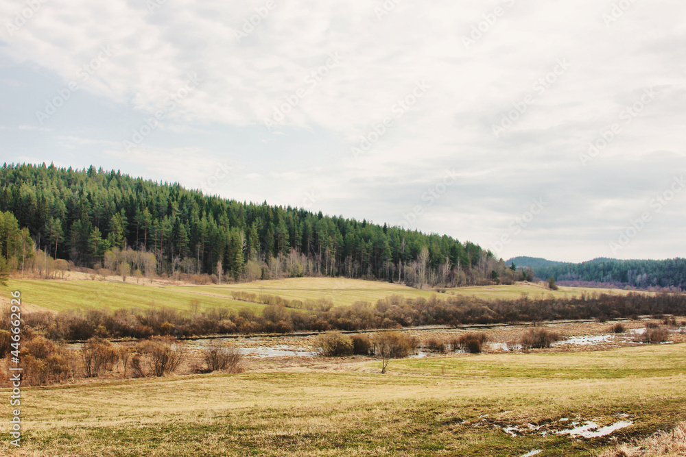 Fototapeta premium landscape with forest