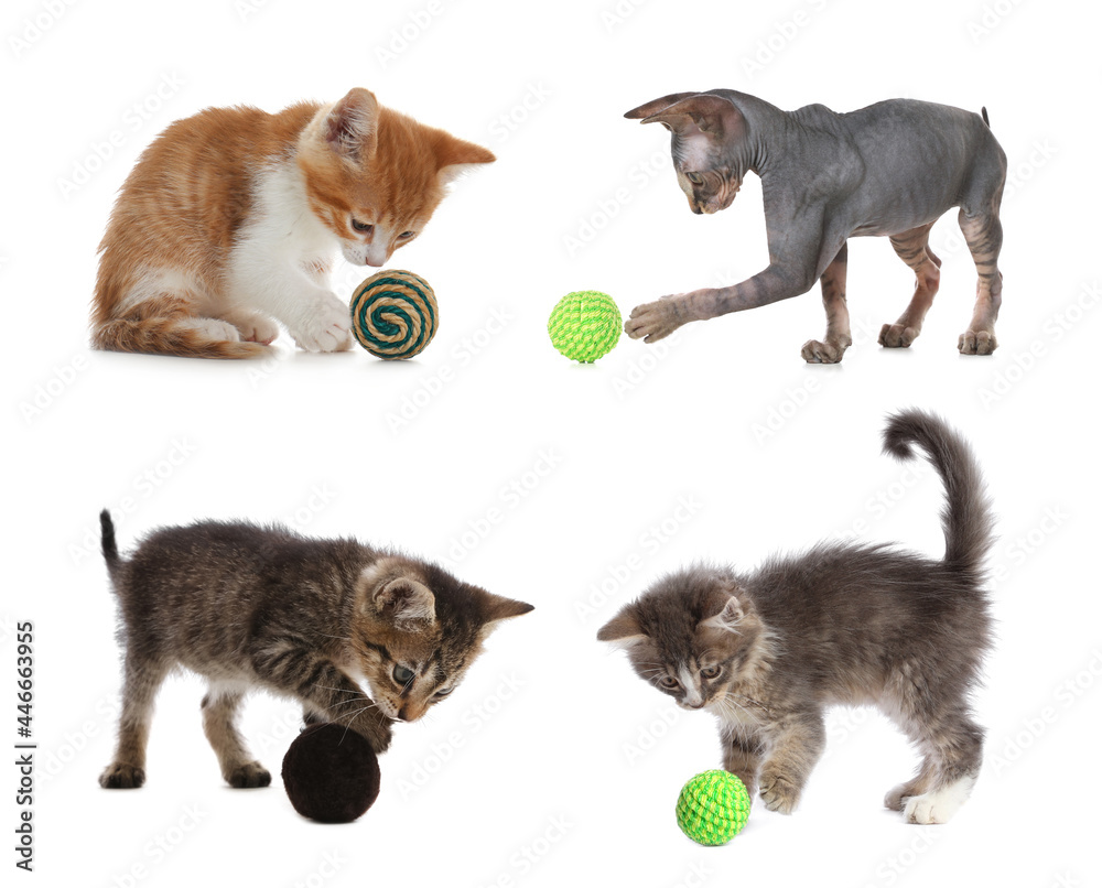 Fototapeta premium Adorable kittens playing with toys on white background, collage. Lovely pet