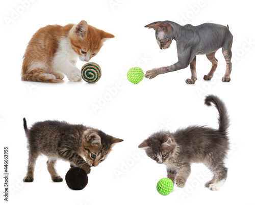 Adorable kittens playing with toys on white background  collage. Lovely pet