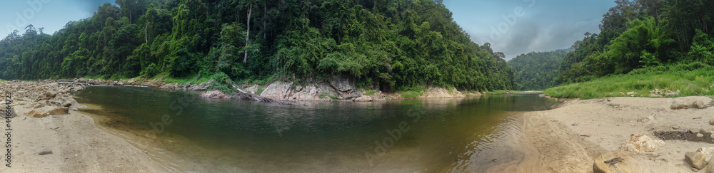 panorama rain forest scenic of jungle and river in tropical. panorama rain forest scenic of jungle and river in tropical.