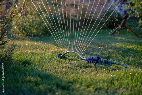 Tablou pe pânză an oscillating sprinkler works at sunset on a hot day