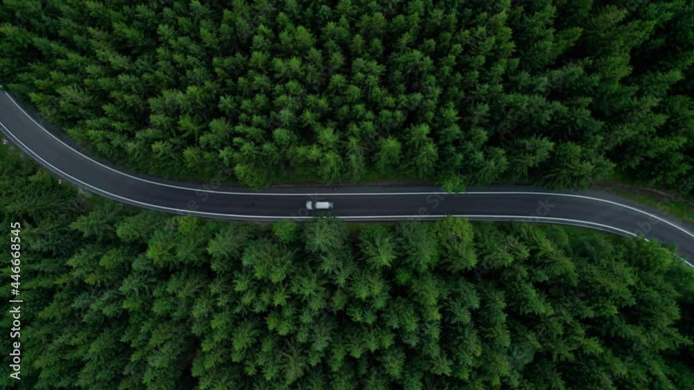 aerial view of the mountain road in a green forest (aerial)