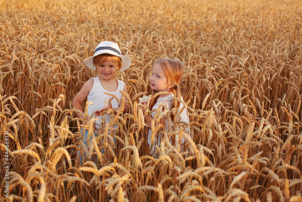 a beautiful little blonde girl holds bread in her hands in a wheat field and communicates with a beautiful little boy in a white hat a beautiful little blonde girl holds bread in her hands in a wheat field and communicates with a beautiful little boy in a white hat