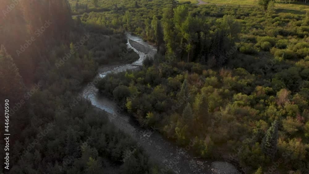 Drone aerial view remote Colorado usa river stream water valley in green uncompahgre tall forest trees meadow high elevation scenic sunset landscape 4k Drone aerial view remote Colorado usa river stream water valley in green uncompahgre tall forest trees meadow high elevation scenic sunset landscape 4k
