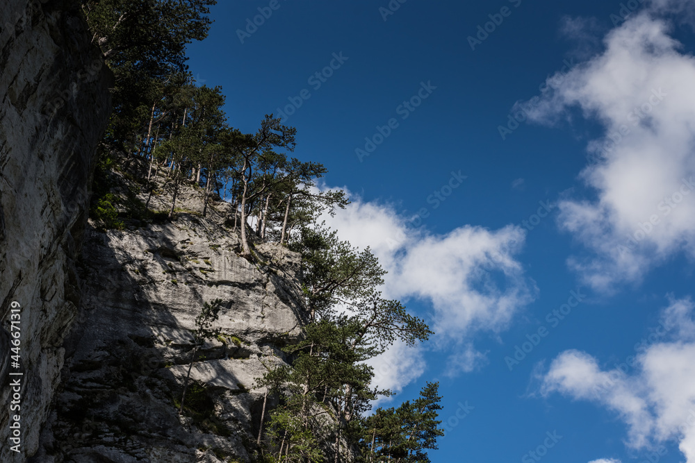 high rockface with trees and beautiful blue sky with clouds high rockface with trees and beautiful blue sky with clouds