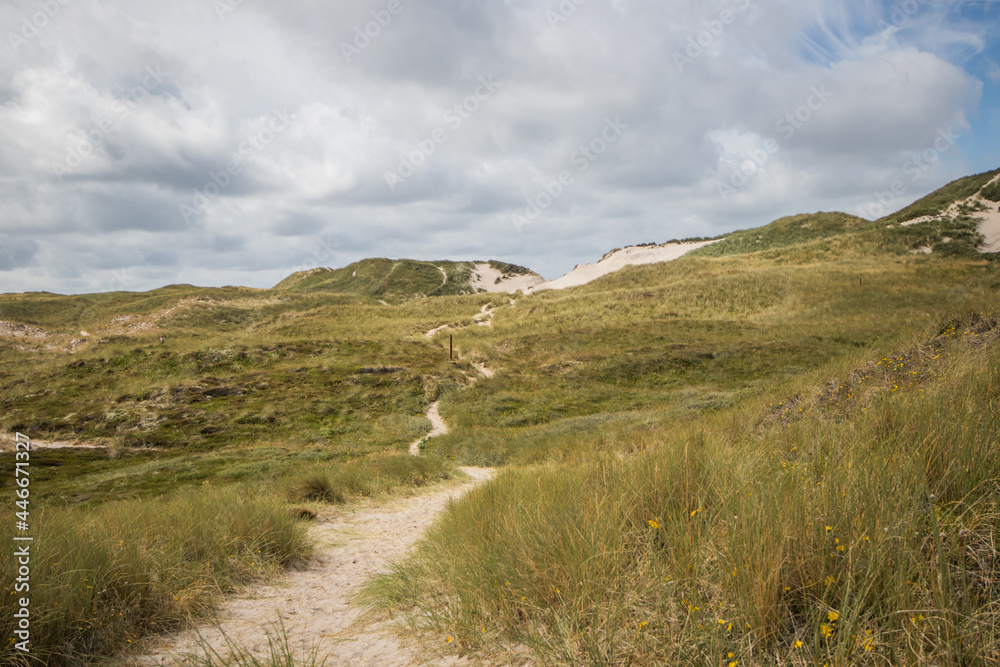 Dunes near Hvide Sande Dunes near Hvide Sande