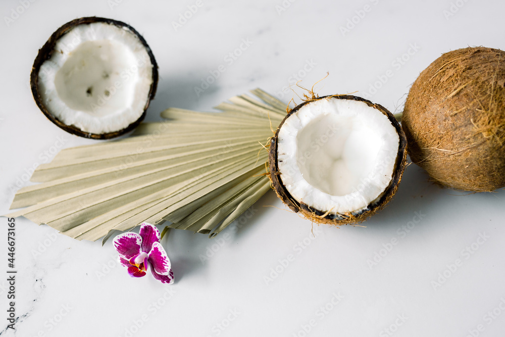 Whole Coconut Cut in Half Whole Coconut Cut in Half