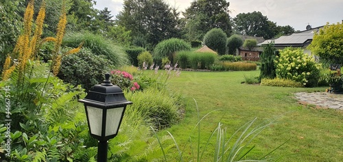 Wspaniały zadbany ogród z piękną zielenią traw i roślin ozdobnych