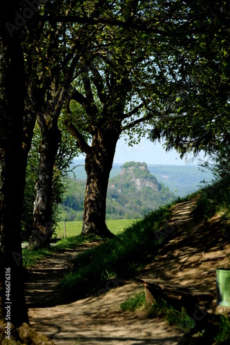 Blick  auf die Burgruine Hohenkr  hen