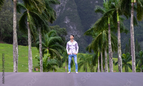 Man standing in road in Hawaii with palm trees and mountains