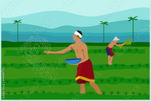 farmer working on rice field vector illustration 