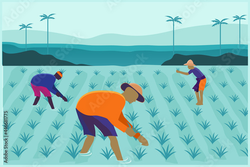 Vector illustration of farmers working in Rice farm 