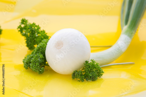 spring onion and curly parsley arranged on yellow background  photo