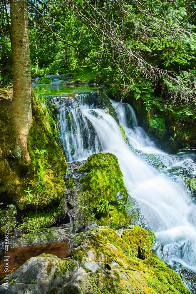 Naklejka premium Waterfall with trees and mossy rocks