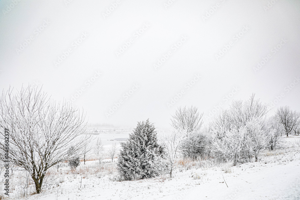 Obraz premium Winter in Nebraska