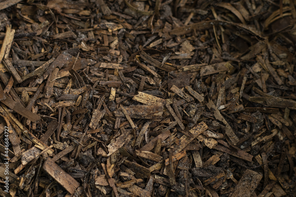 Ground Ground