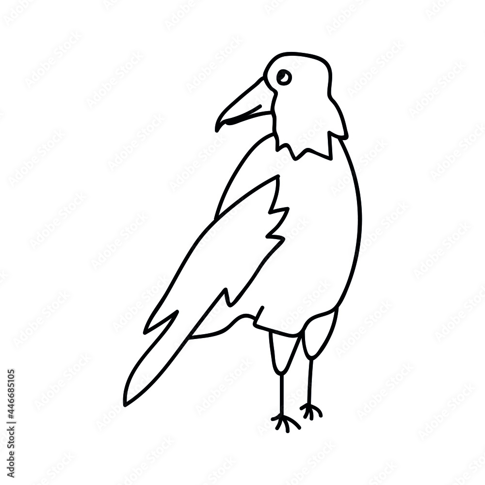Fototapeta premium Single hand drawn crow. Doodle vector illustration. Isolated on a white background.
