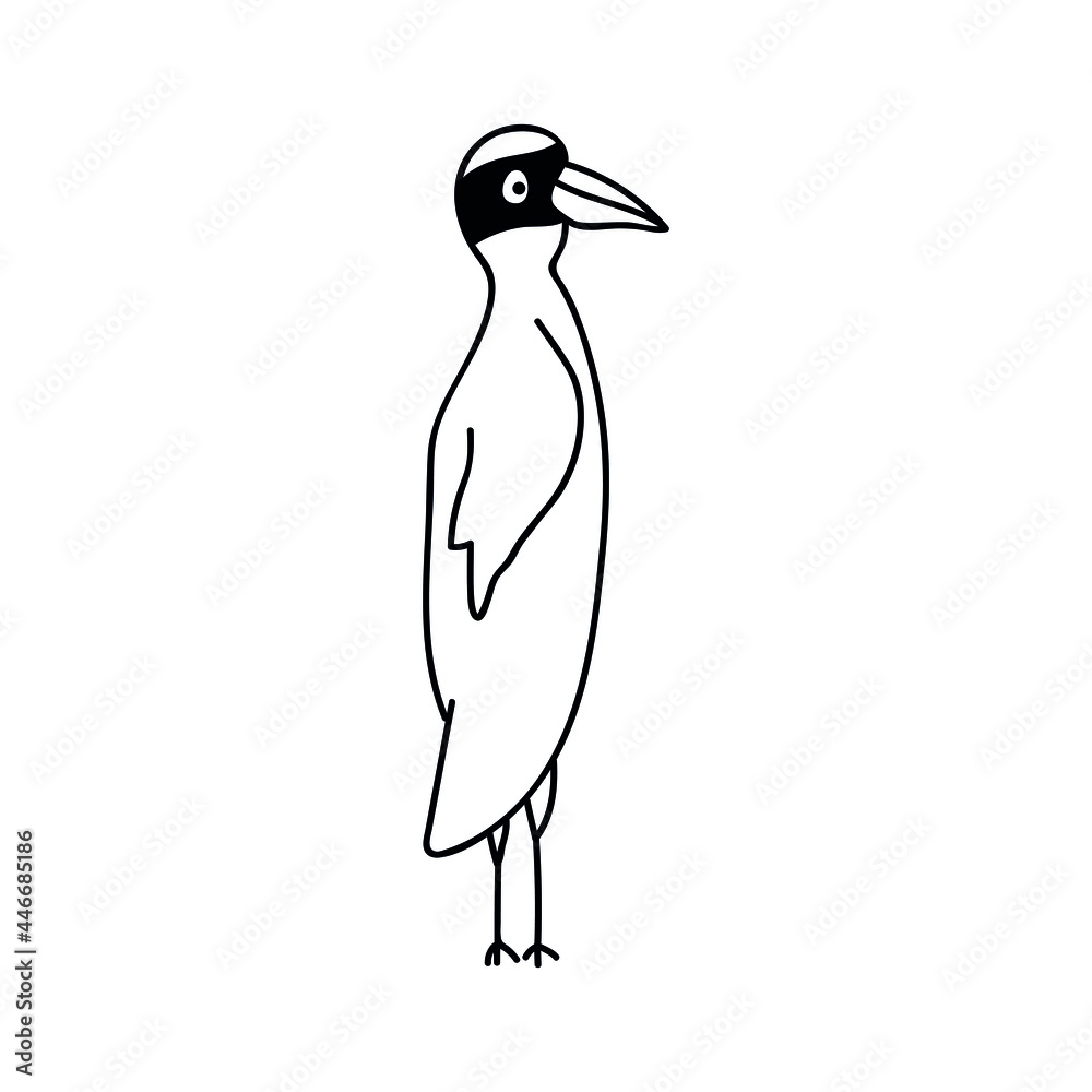 Fototapeta premium Single hand drawn bird. Doodle vector illustration. Isolated on a white background.