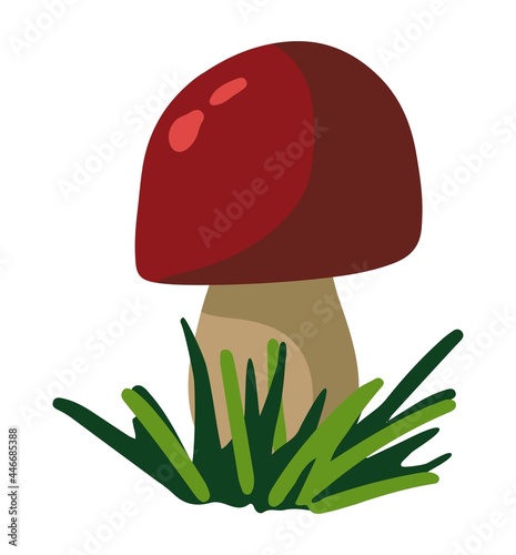 Forest edible mushroom. Hand drawn vector illustration. Colored cartoon doodle of fall harvest. Single autumn nature drawing isolated on white. Element for design, print, sticker, card, decor, wrap.