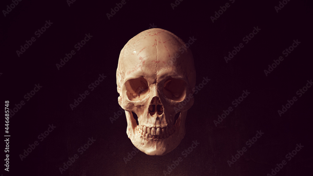 Human Female Skull and Jaw Bone Pirate Poison Horror Symbol Halloween Woman Medical 3d illustration render
Human Female Skull and Jaw Bone Pirate Poison Horror Symbol Halloween Woman Medical 3d illustration render