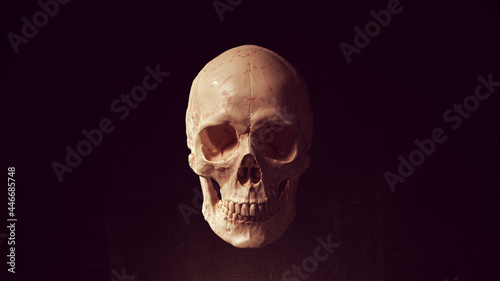 Human Female Skull and Jaw Bone Pirate Poison Horror Symbol Halloween Woman Medical 3d illustration render 
