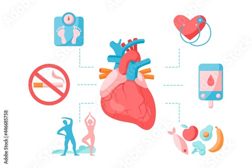 Heart disease and atherosclerosis prevention infographics. Healthy lifestyle concept. Vector flat illustration. Prevention cardiovascular problem. Weight scale, heart, exercise, food, diabetes control photo